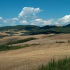 Hügeliges bei Volterra (2)