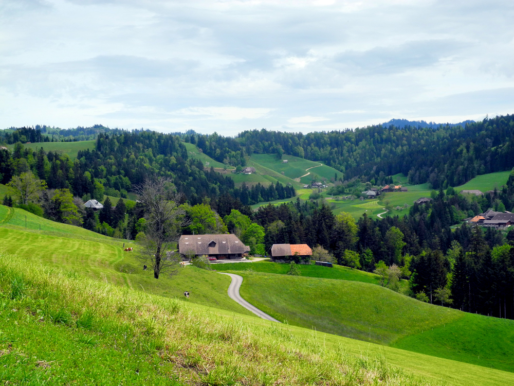 hügeliges Emmental