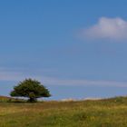 Hügeliges Hiddensee