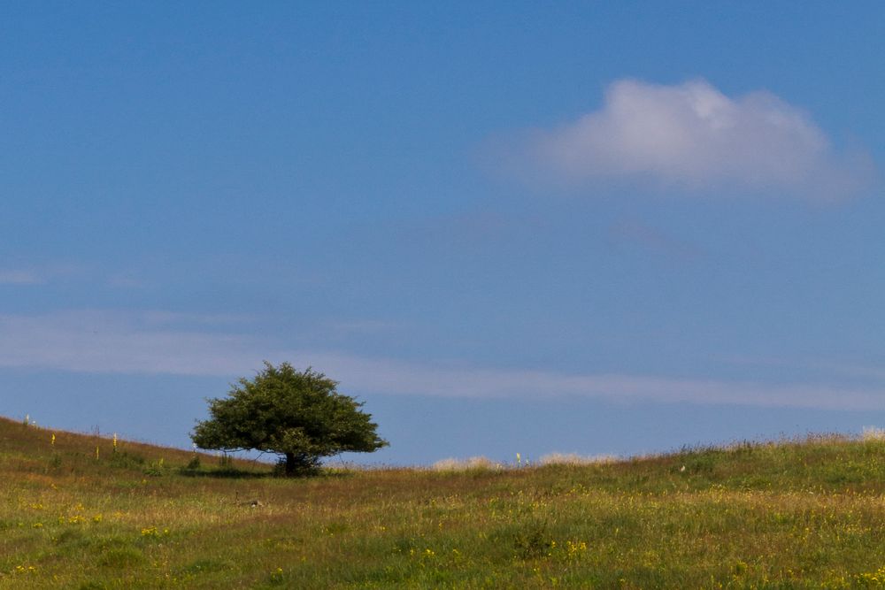 Hügeliges Hiddensee von Thomas Wyser 