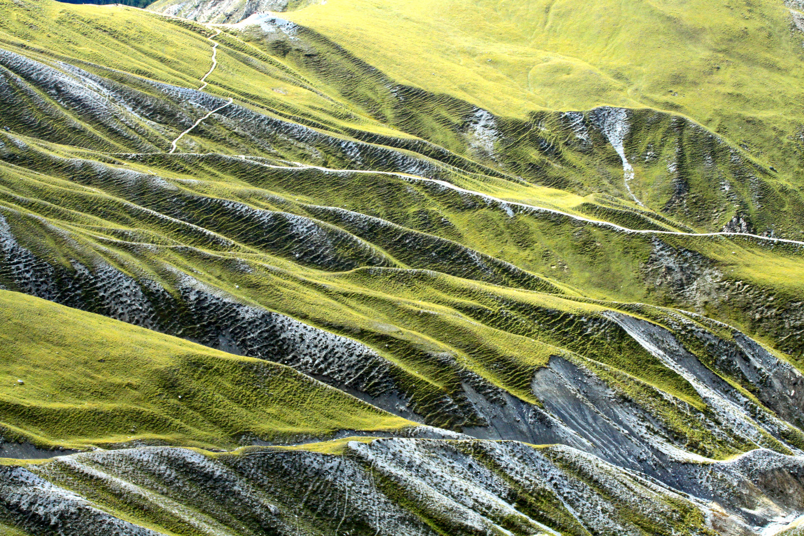 Hügelkette am Fuorcla Val dal Botsch (Nationalpark Schweiz)