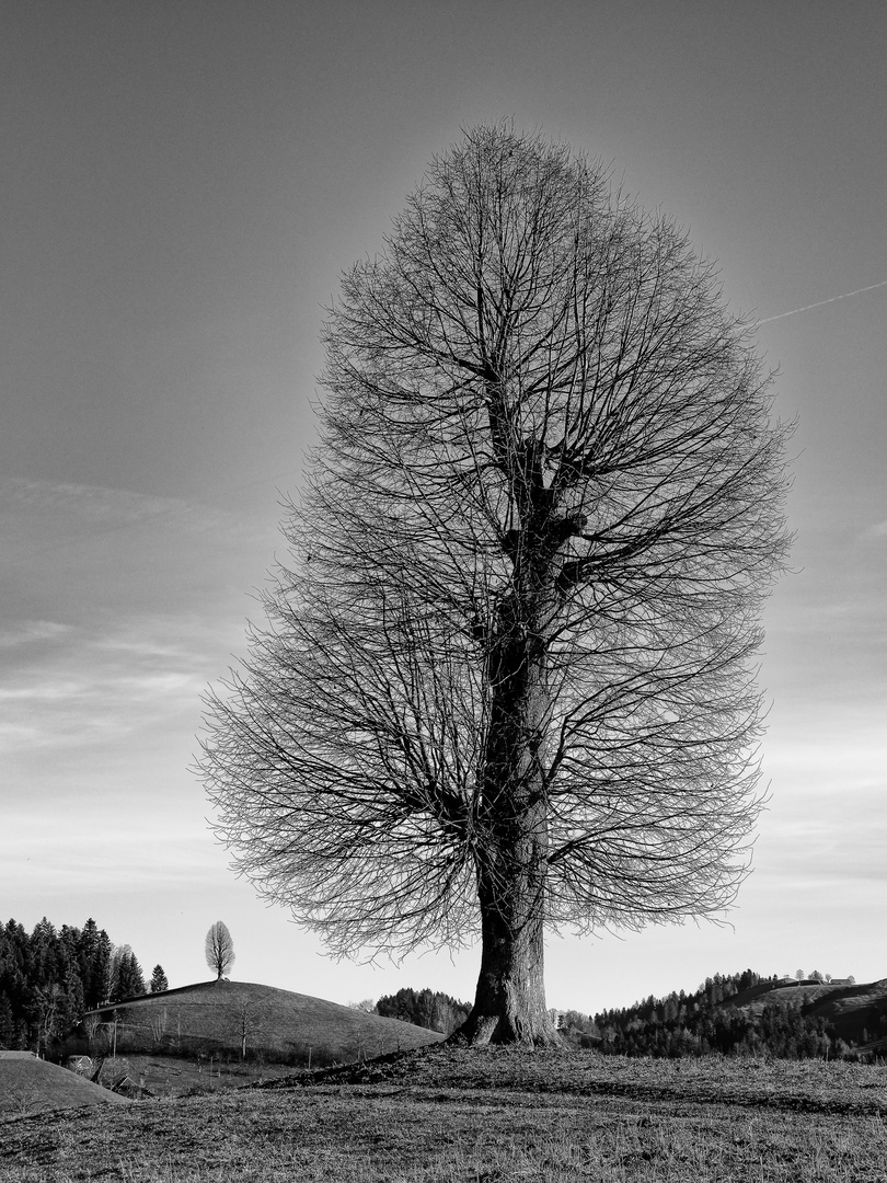 Hügelland Emmental