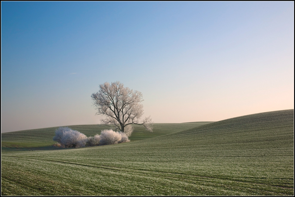 HÜGELLAND III