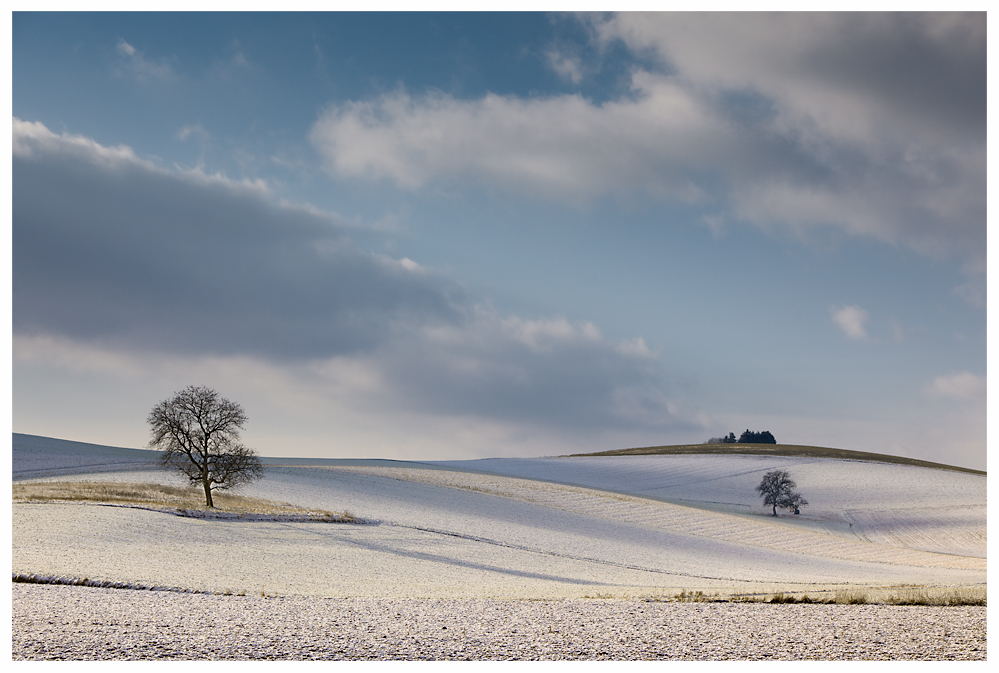 Hügelland im Winter