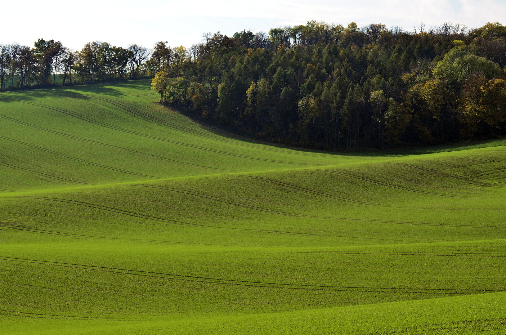 Hügellandschaft