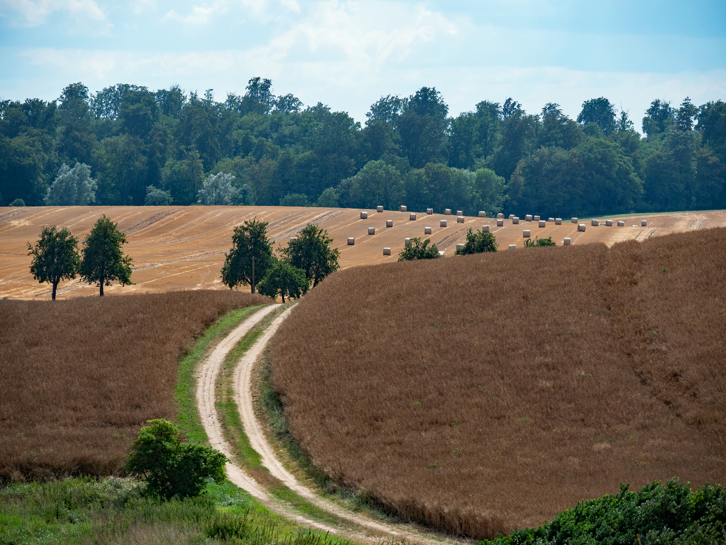 Hügellandschaft