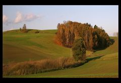 Hügellandschaft