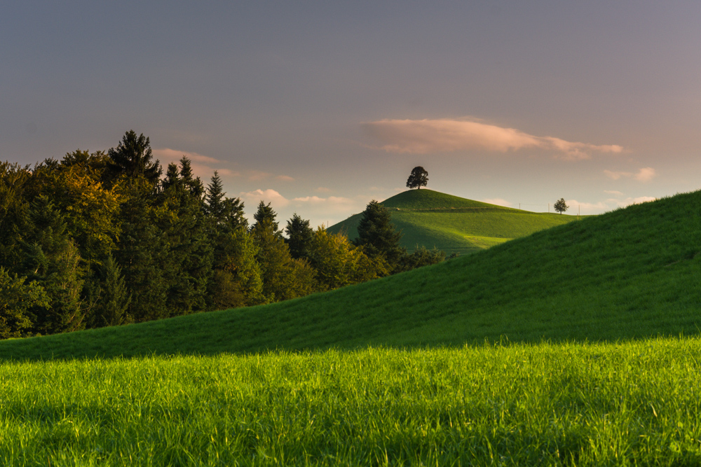 Hügellandschaft