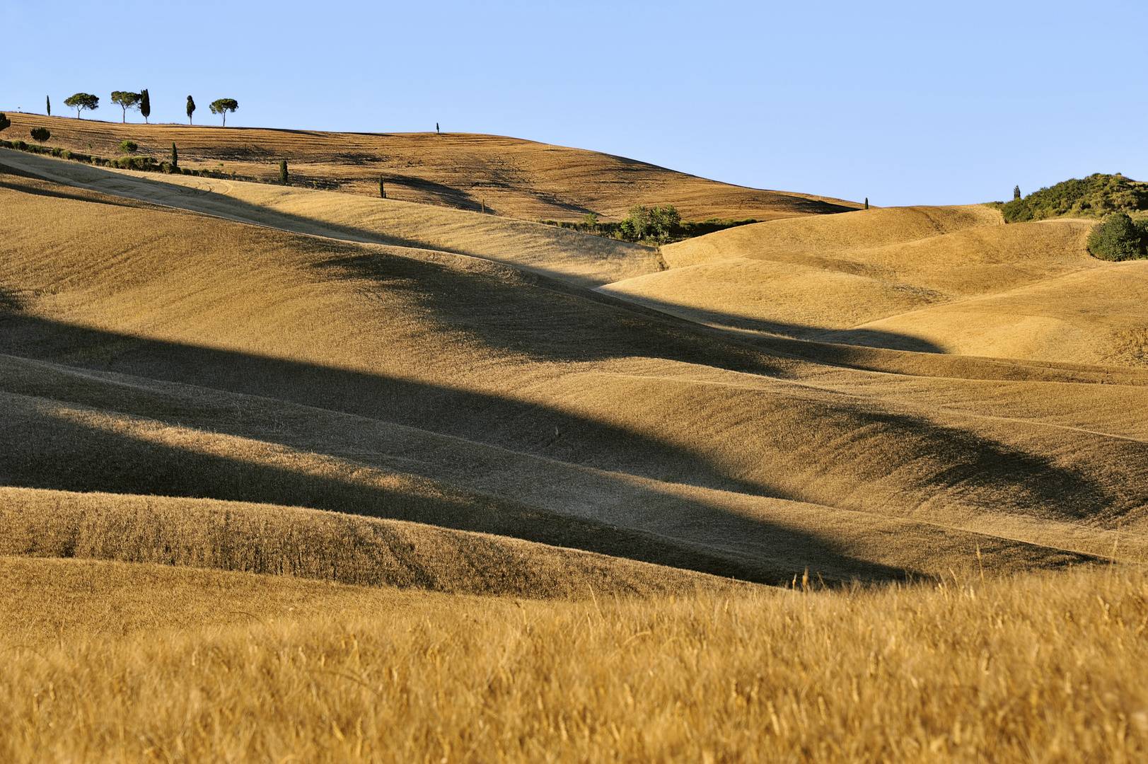 Hügellandschaft am Abend