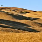 Hügellandschaft am Abend