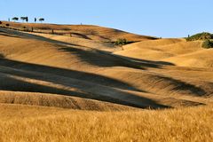 Hügellandschaft am Abend