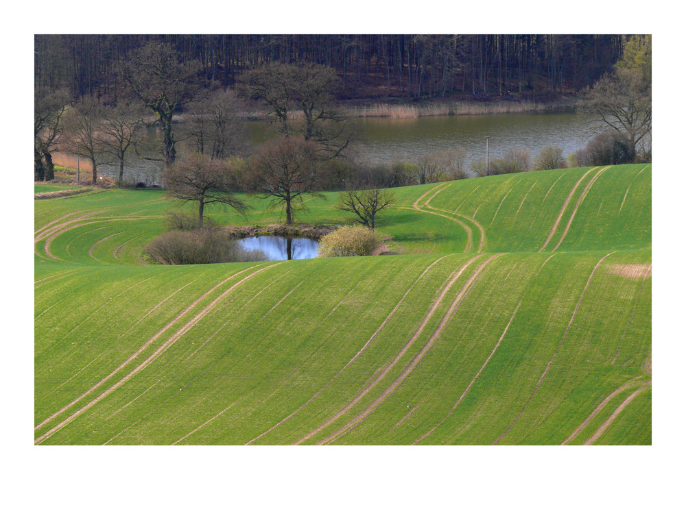 Hügellandschaft am Bungsberg