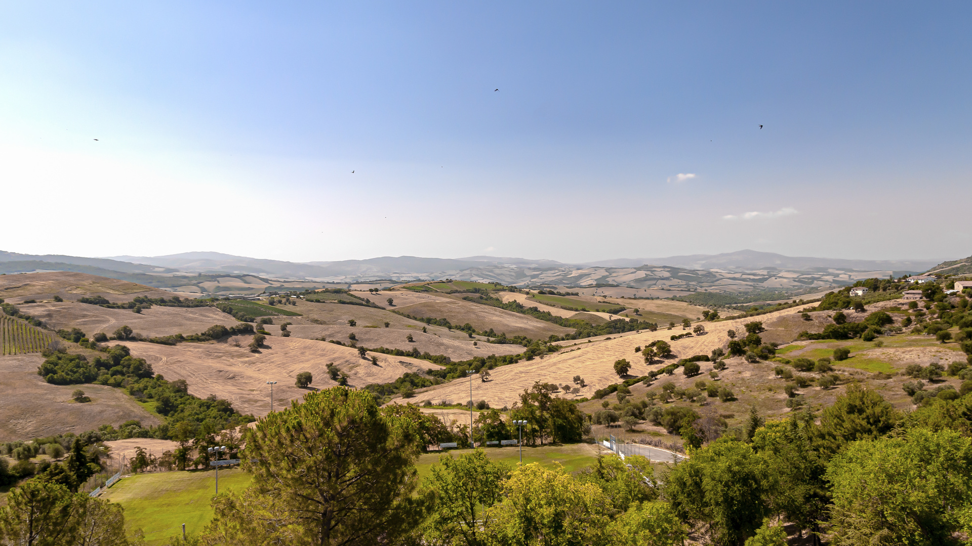 Hügellandschaft bei Cinigiano