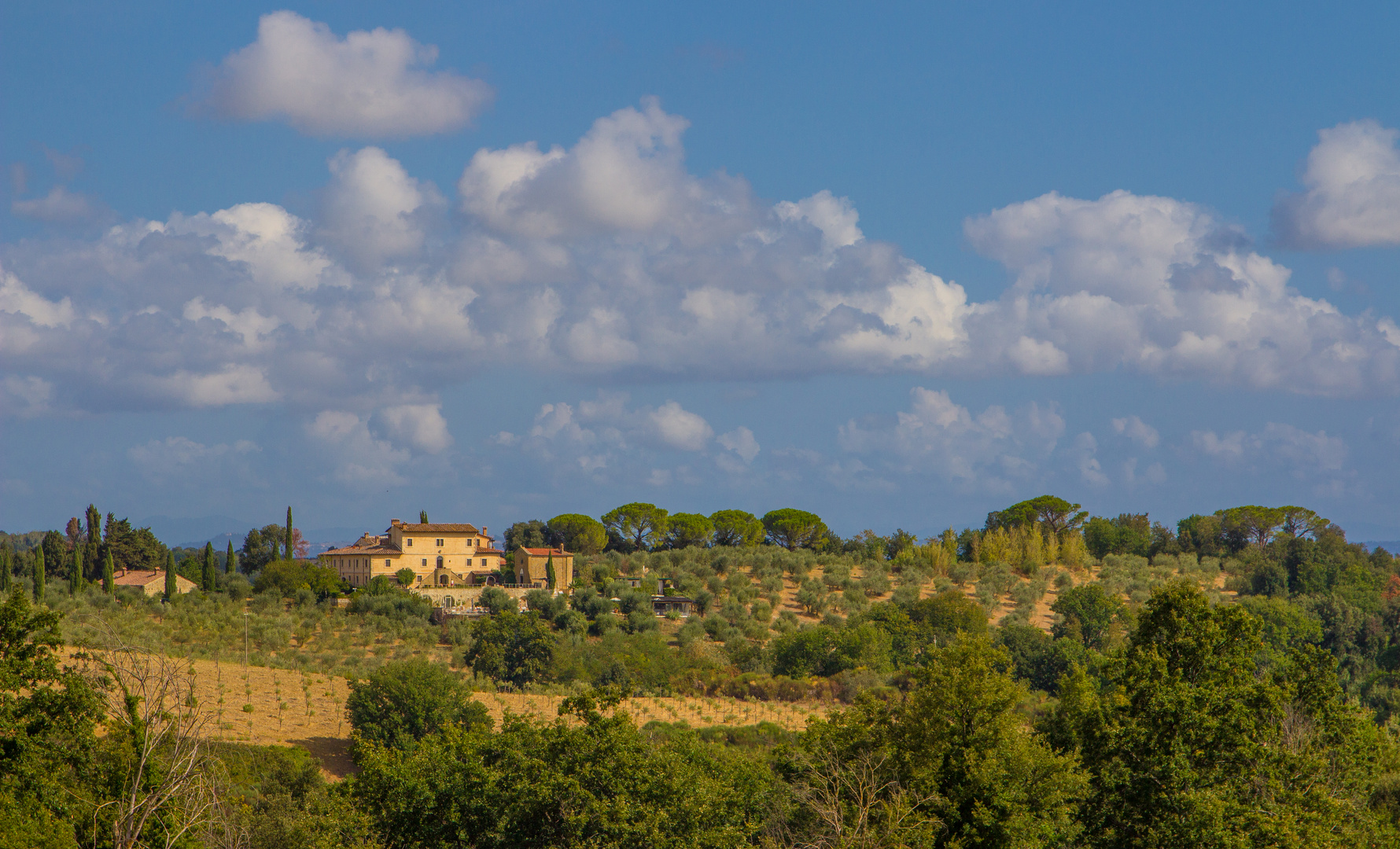 Hügellandschaft bei Monteriggione