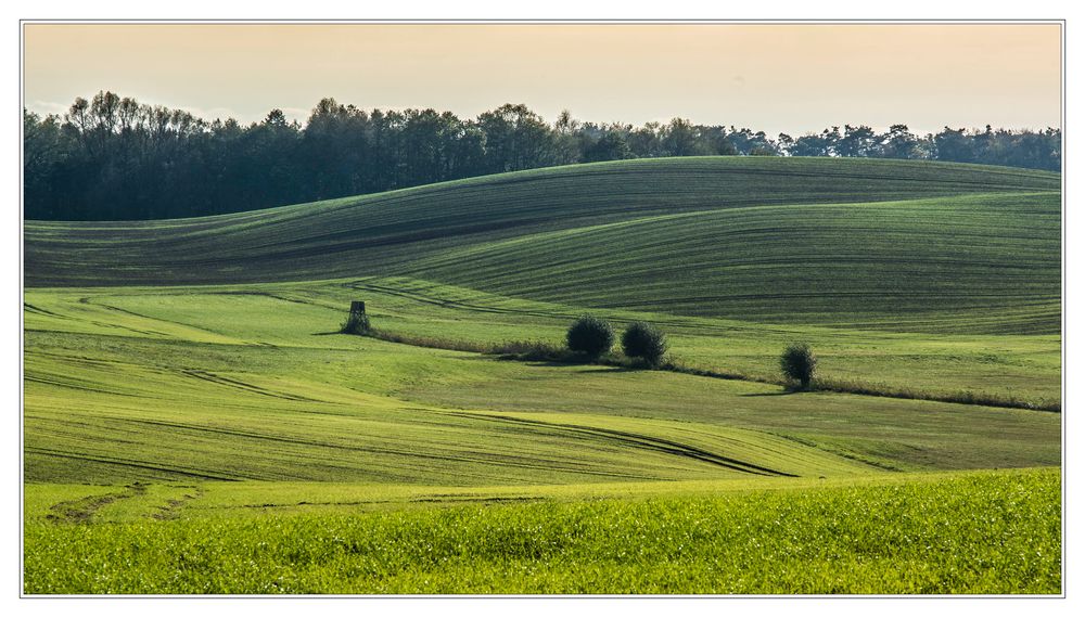 Hügellandschaft bei Siehdichum 