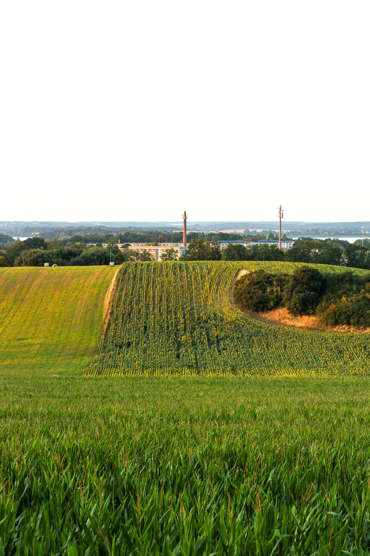 Hügellandschaft bei Teterow