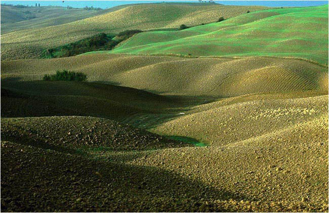 Hügellandschaft i. d. Toskana