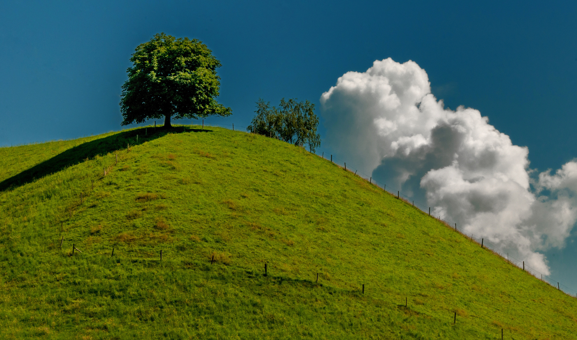 Hügellandschaft im Emmental