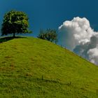 Hügellandschaft im Emmental