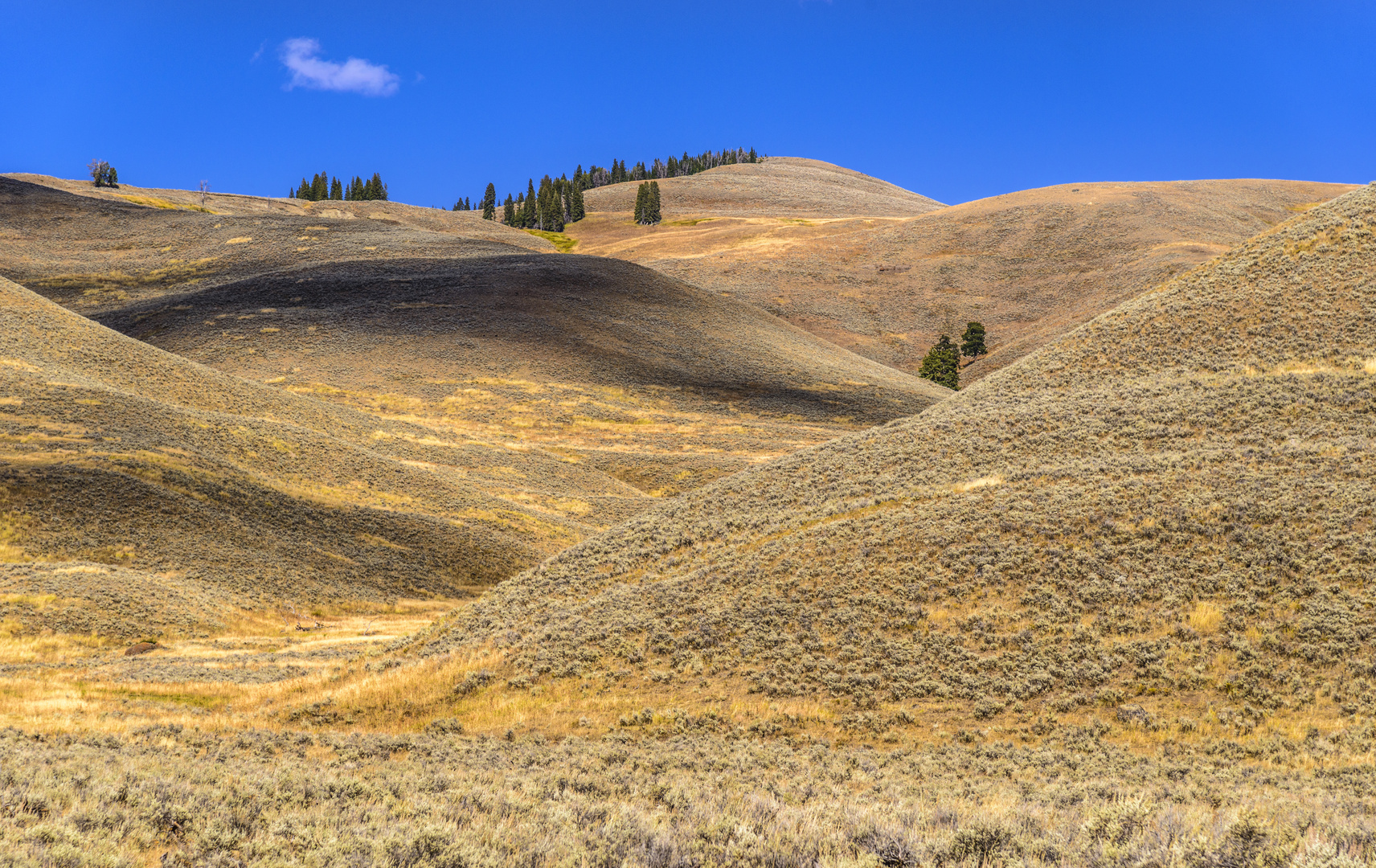 Hügellandschaft im Lamar Valley, Wyoming, USA
