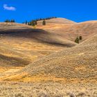 Hügellandschaft im Lamar Valley, Wyoming, USA