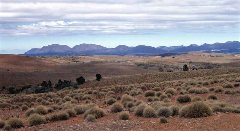 Hügellandschaft im Outback