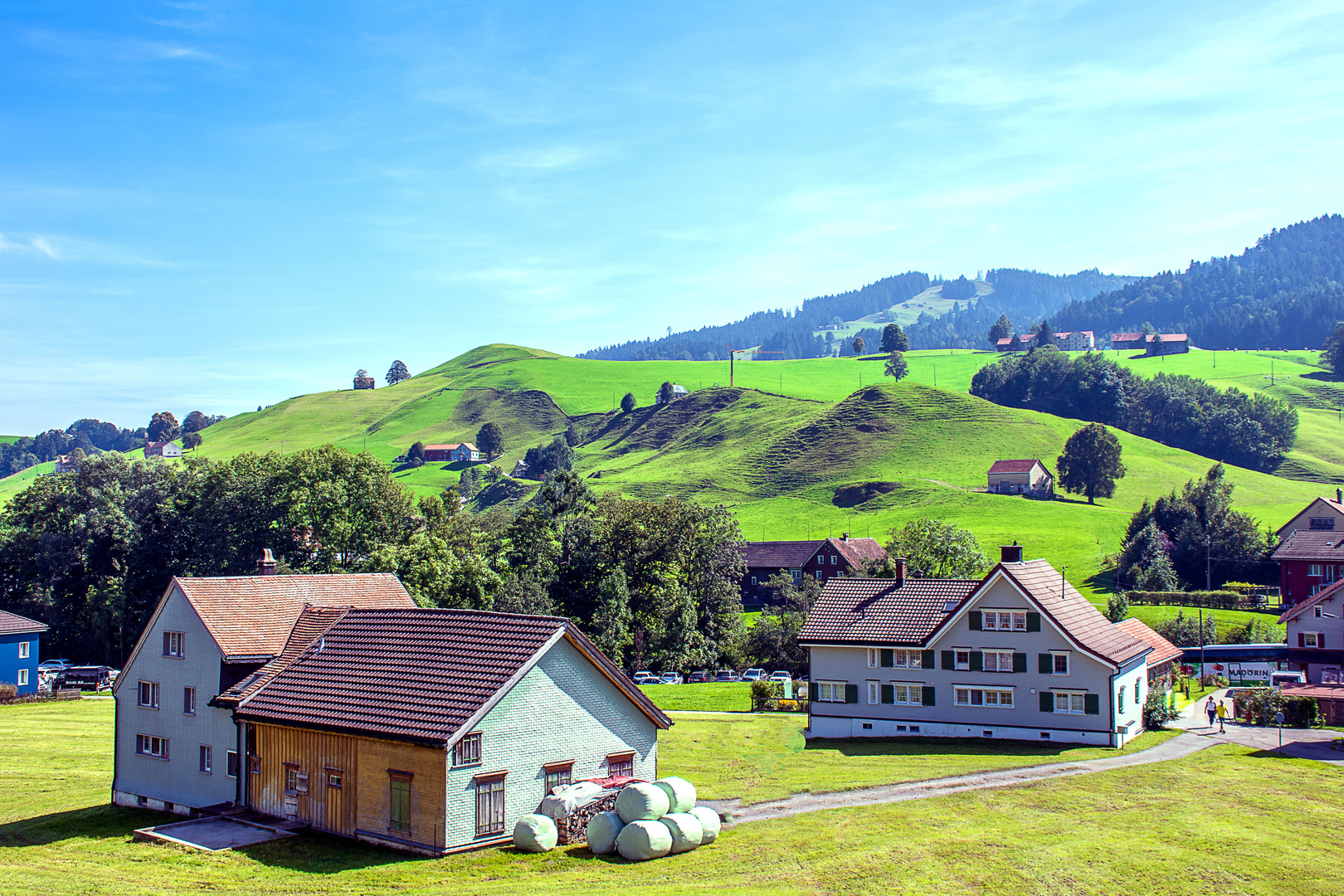  Hügellandschaft in Appenzell Ausserrhoden