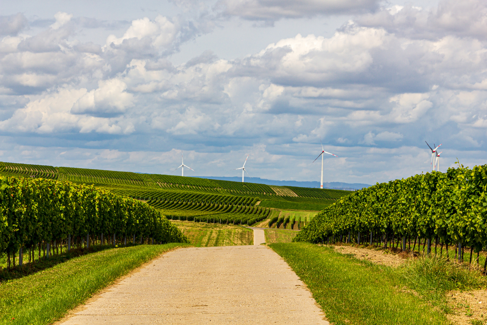 Hügellandschaft Rheinhessen