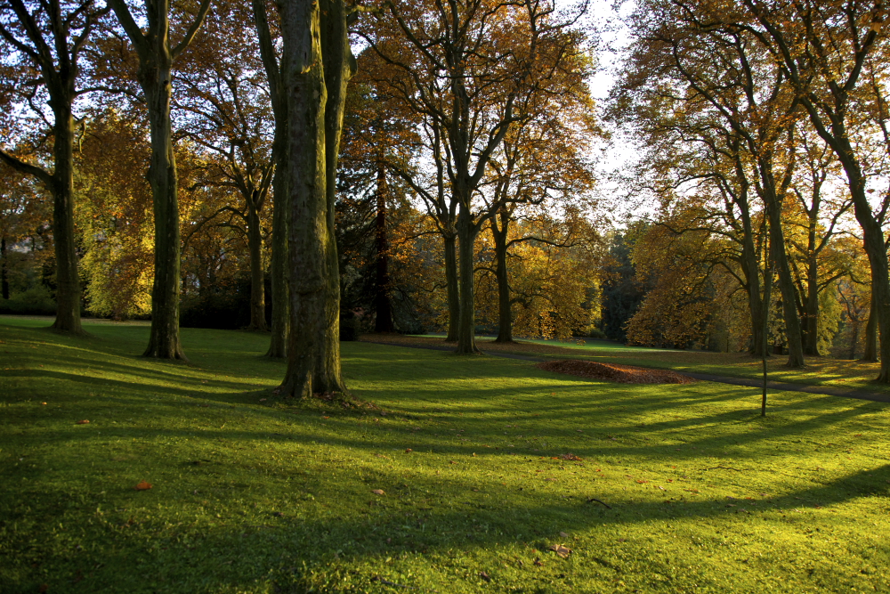 Hügelpark 2