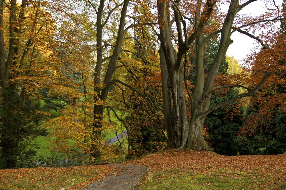 Hügelpark 5