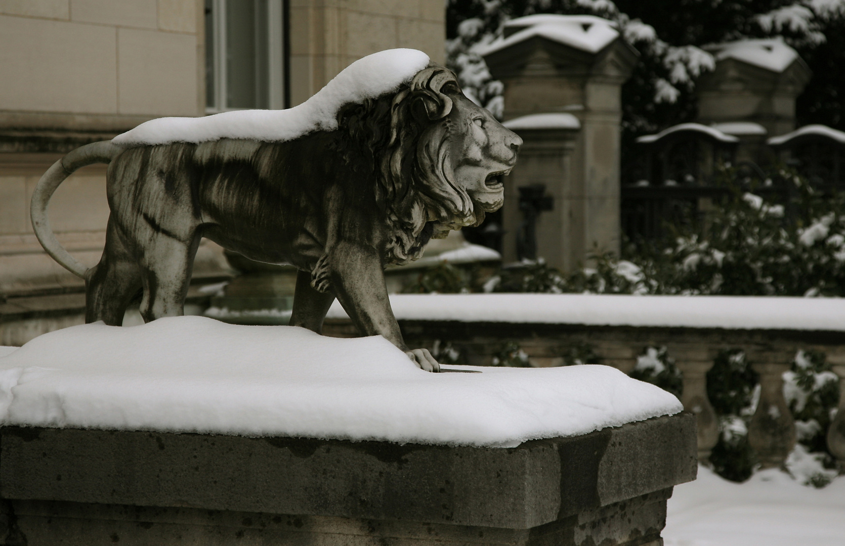 Hügelpark Winter 2