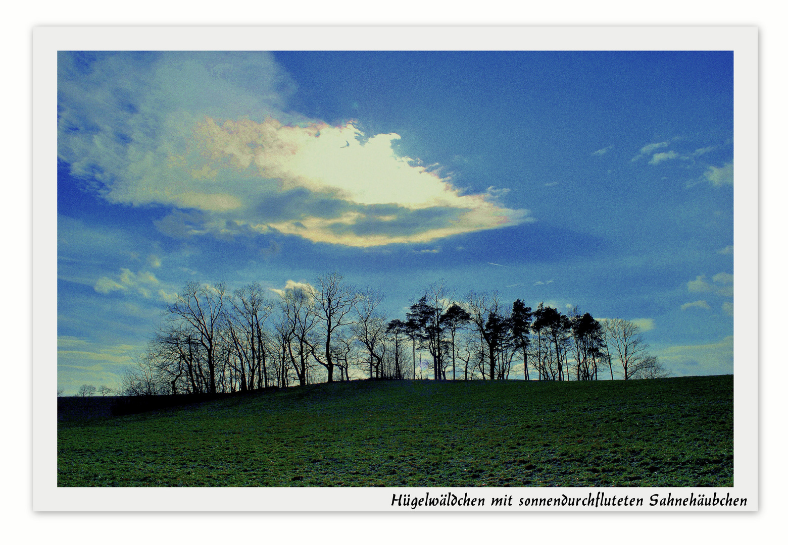 Hügelwäldchen mit sonnendurchfluteten Sahnehäubchen