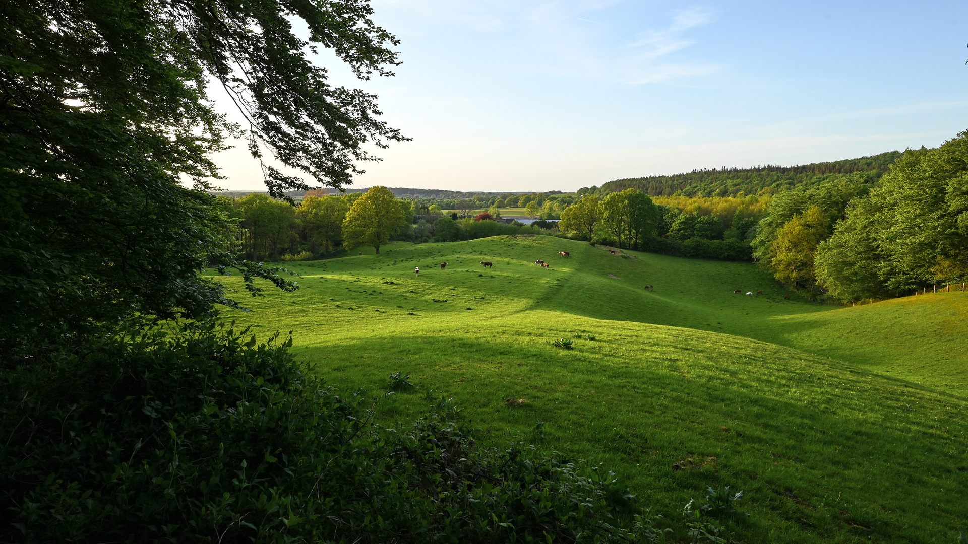 Hügelweide