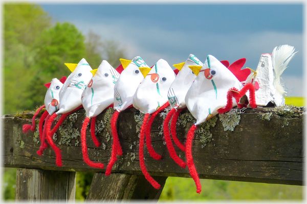 Hühner auf der Stange