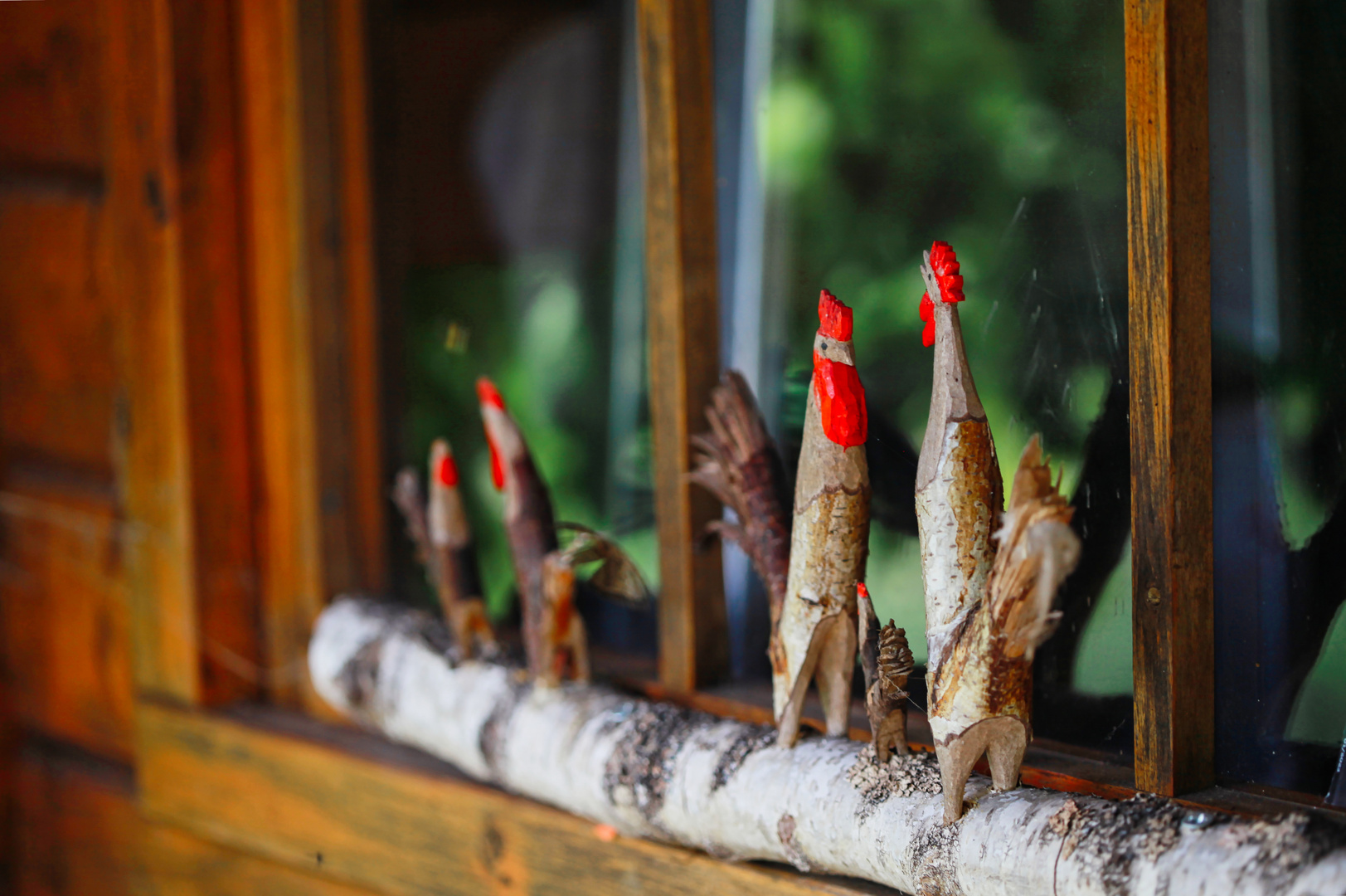 Hühner im (Schau) Fenster