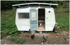 Hühnercamping