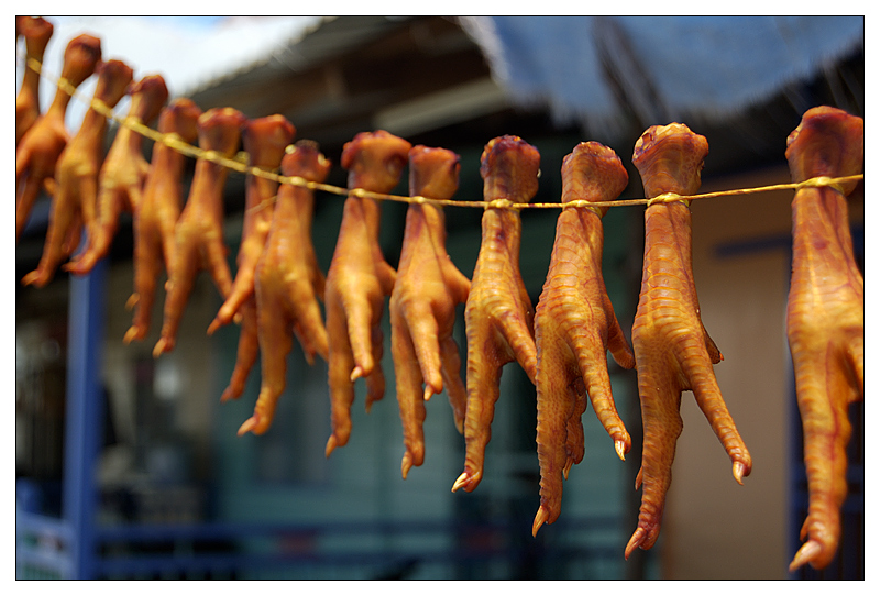 Hühnerfüsse - Pulau Ketam, Malaysia