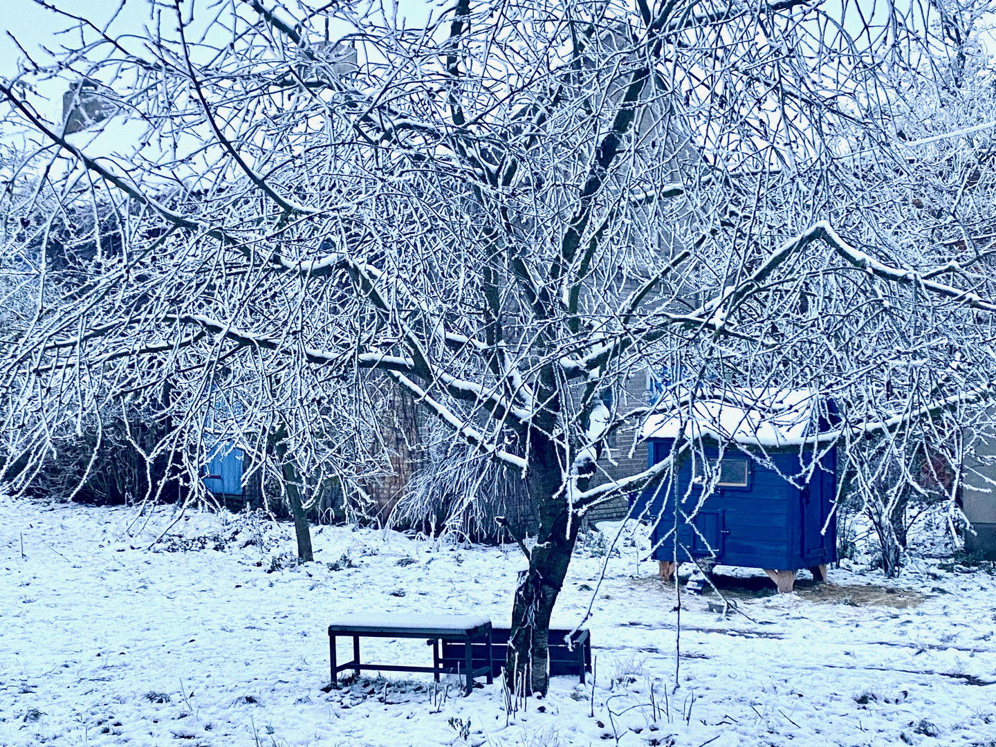 Hühnerhaus im Winter