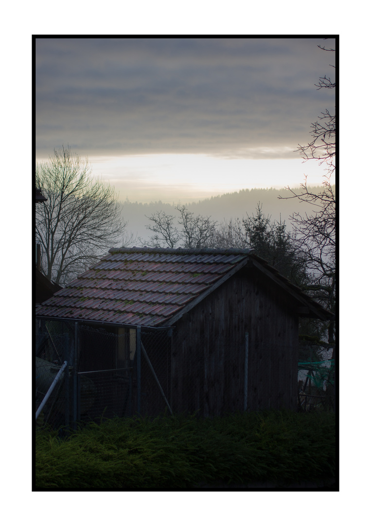 Hühnerstall im Nebel