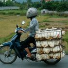 Hühnertransport in Vietnam