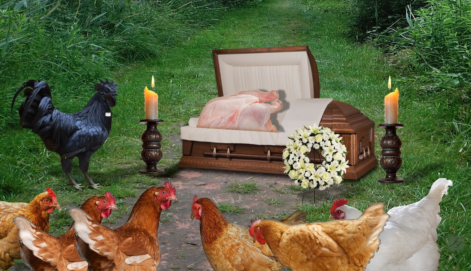 Hühnertrauer - Omas Beerdigung
