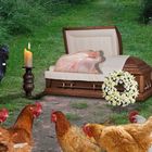 Hühnertrauer - Omas Beerdigung
