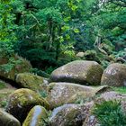 Huelgoat Pano 2- Bretagne