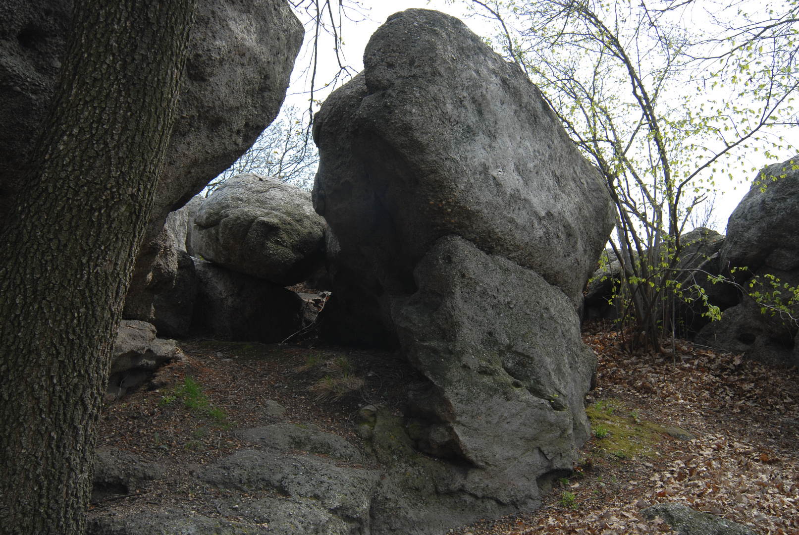 Hünenartiger Steinkopf in Szentbekkalla Ungarn_Hungary