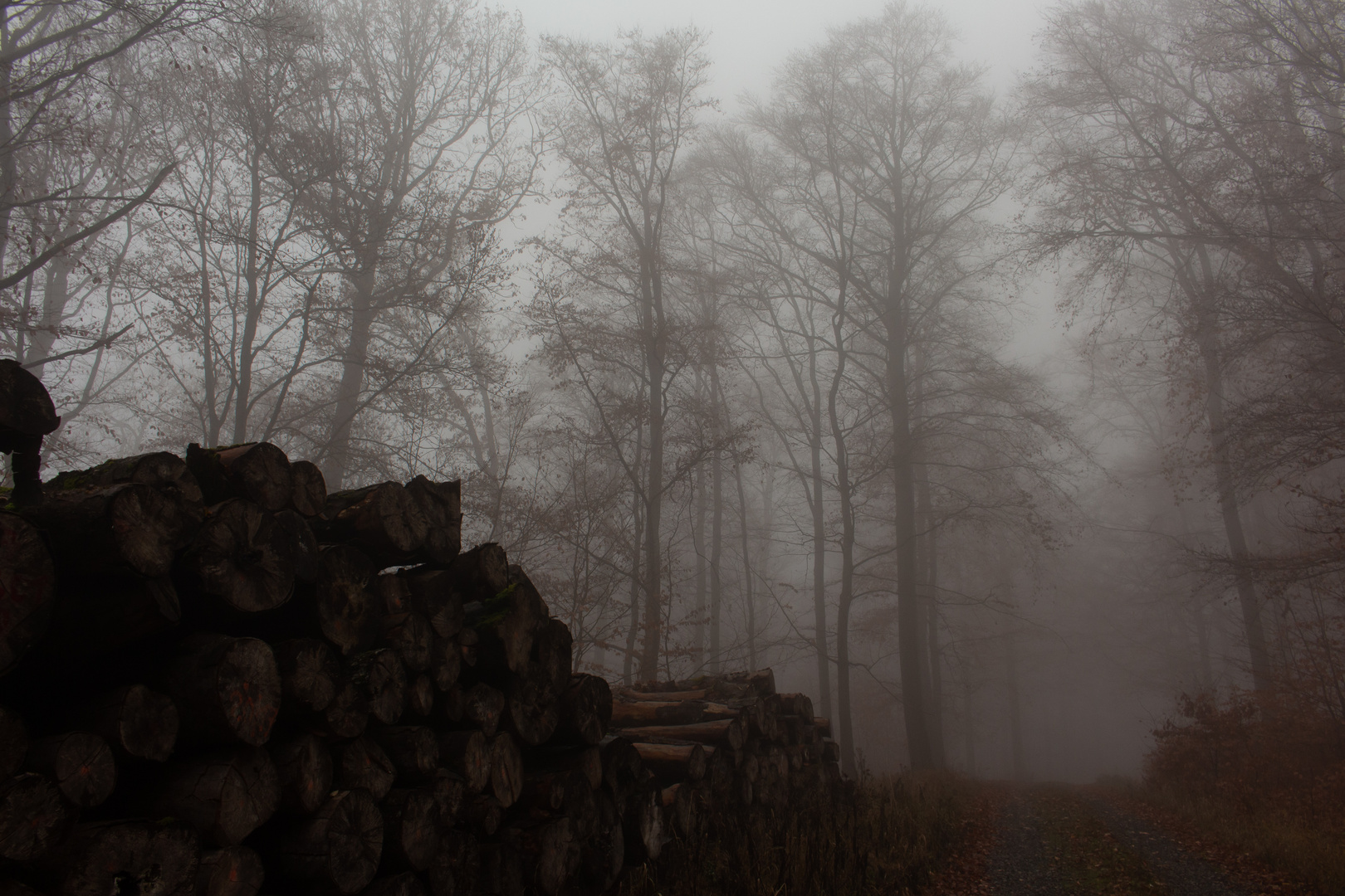 Hüppberg im Nebel