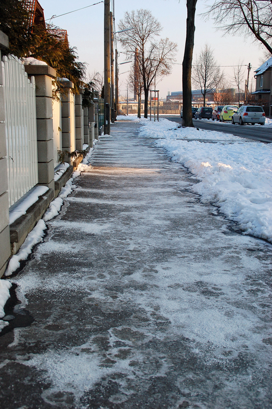 Hürdenlauf beim "Gassi-gehen"