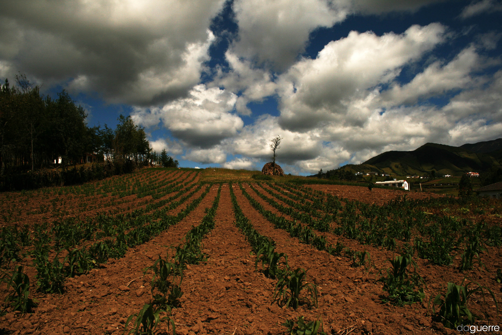 huerta