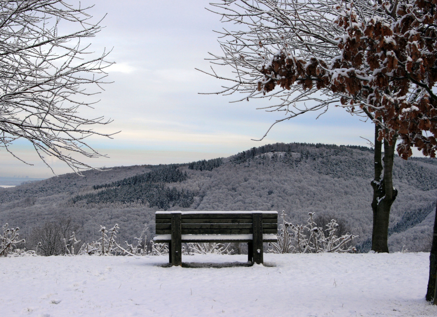 Hürtgenwald-Bergstein