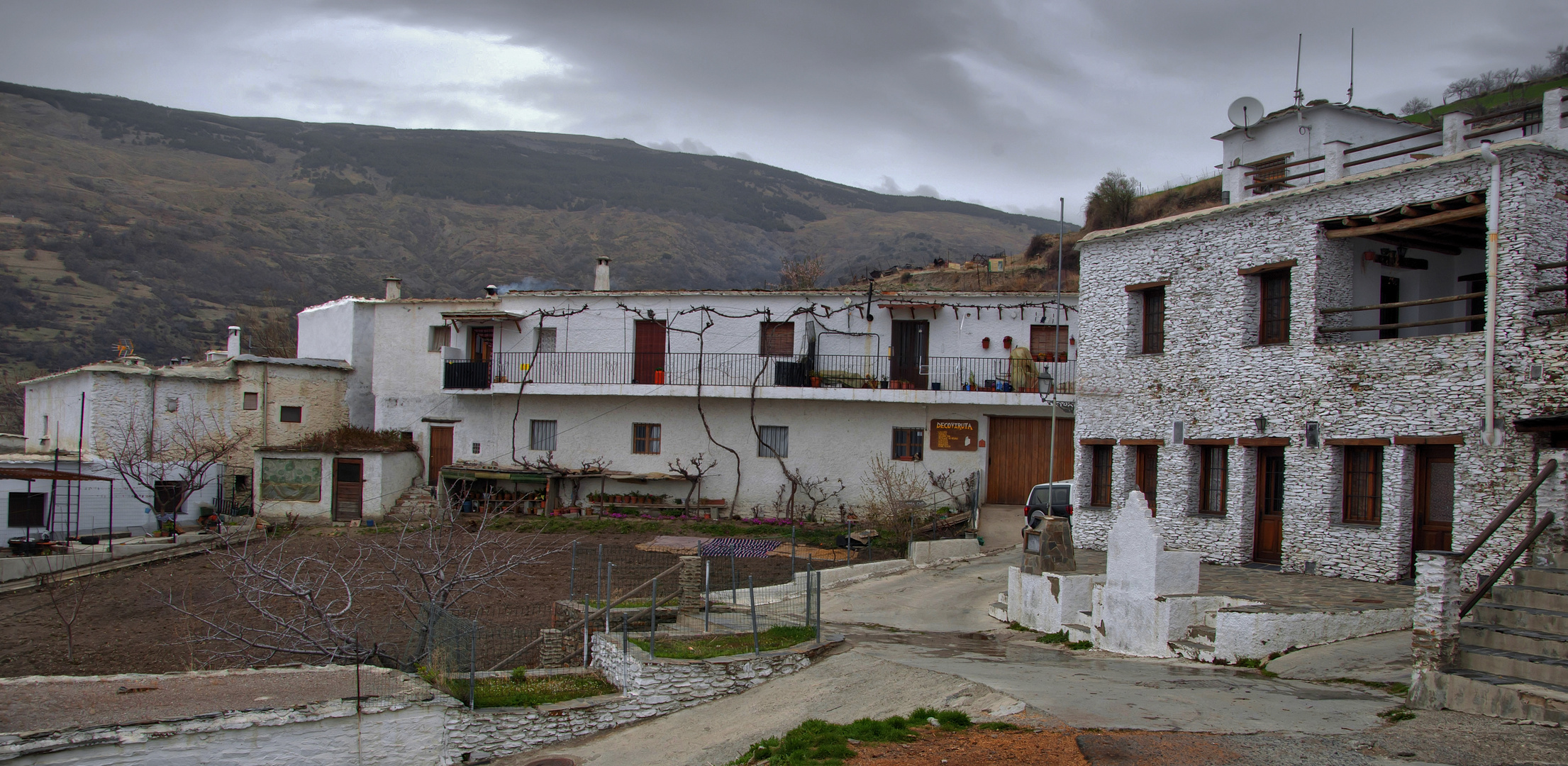 HUERTOS URBANOS