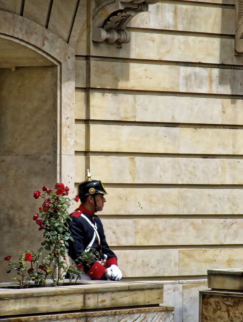 Hüter der Rosen